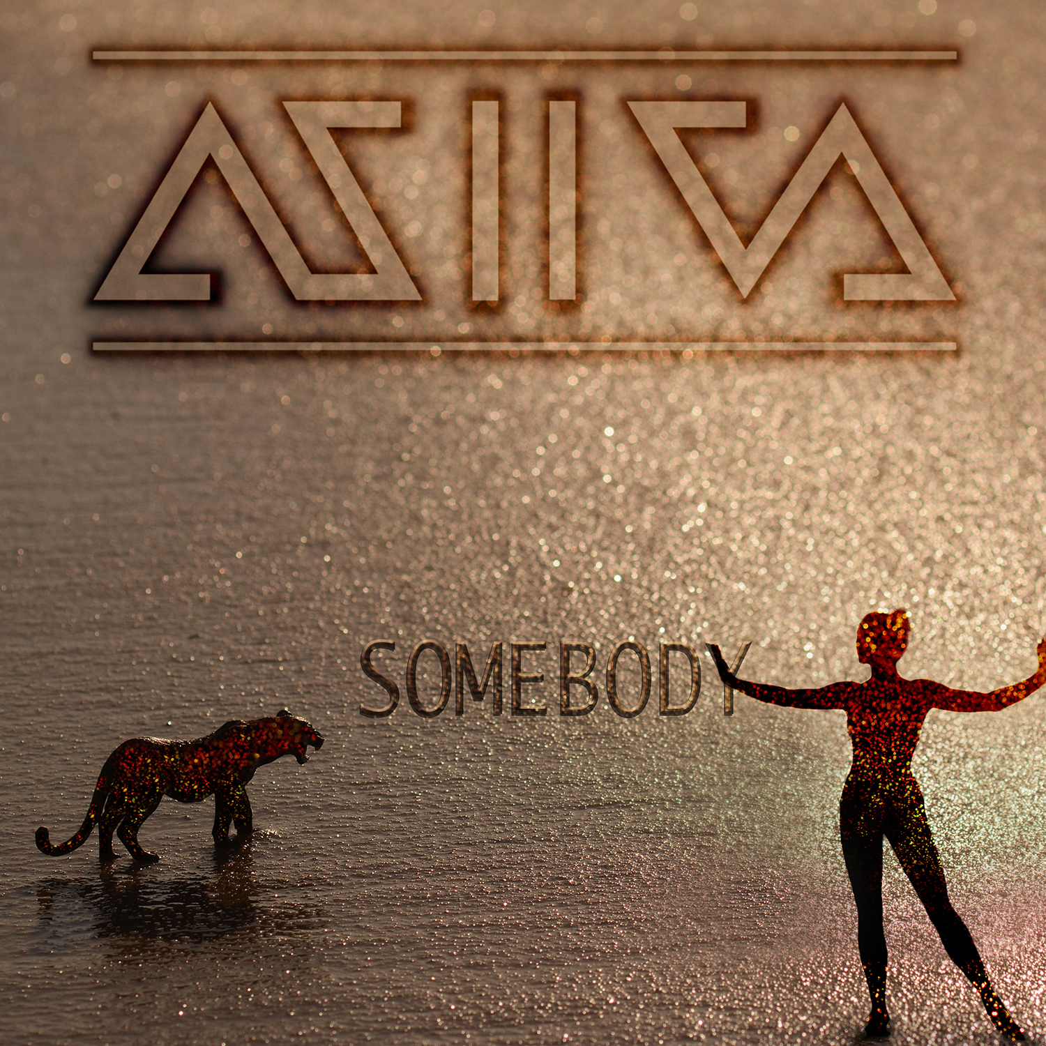 CoverArtASIIVAsomebody