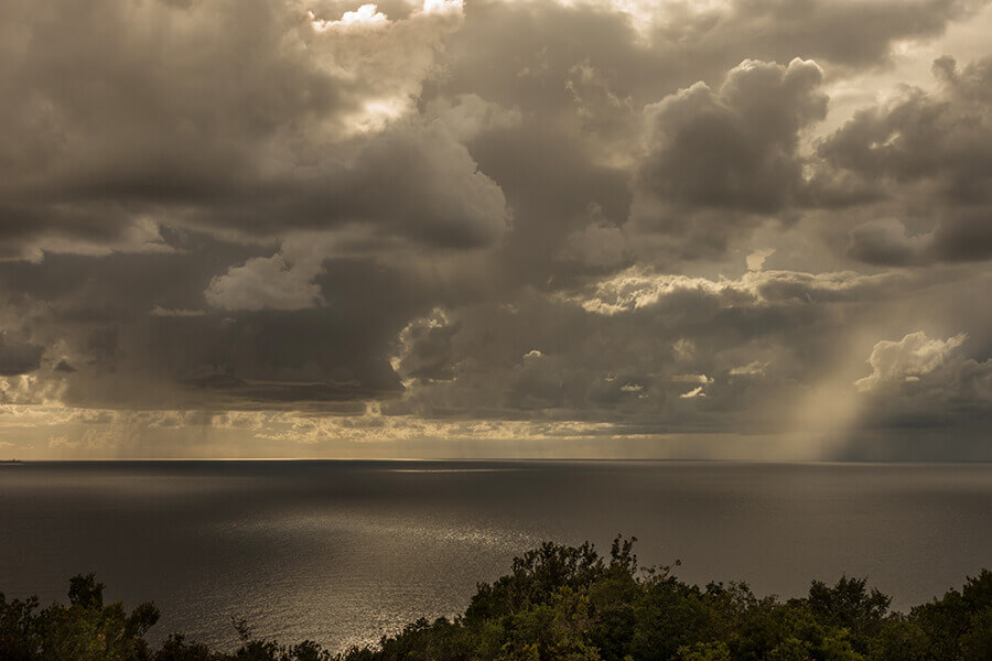 Nature11-Marta-Zuborski