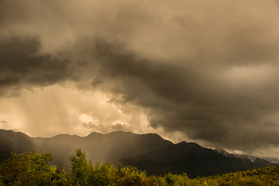 Nature12-Marta-Zuborski