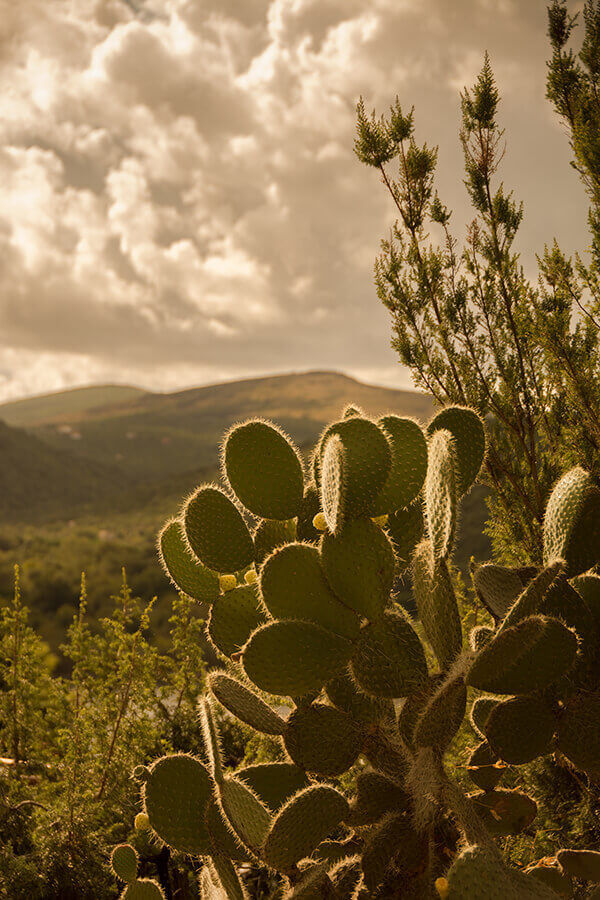 Nature2-Marta-Zuborski