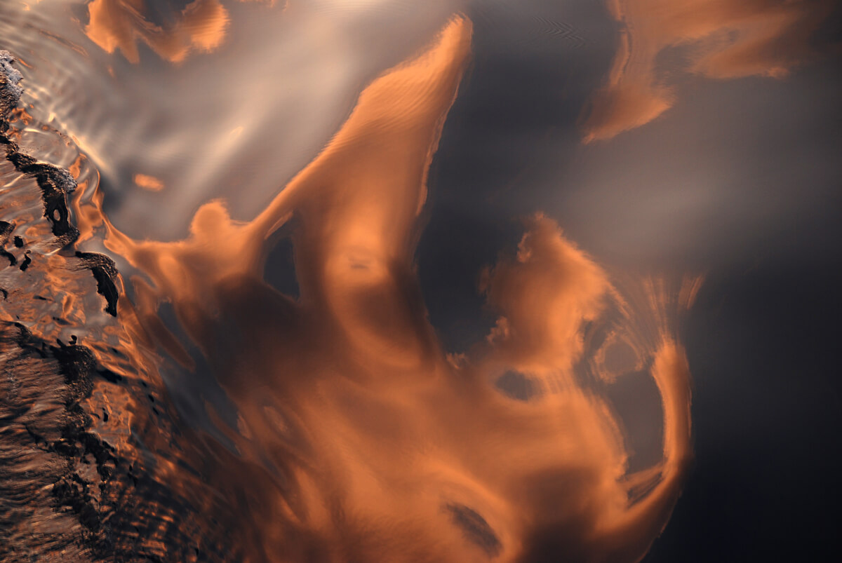 Nature23-Marta-Zuborski