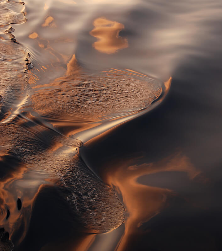 Nature25-Marta-Zuborski