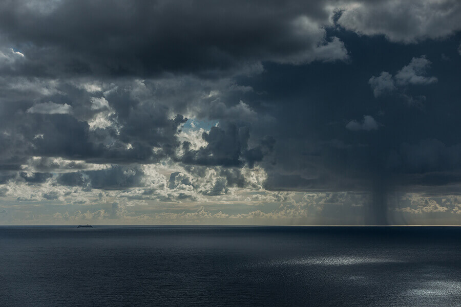 Nature3-Marta-Zuborski