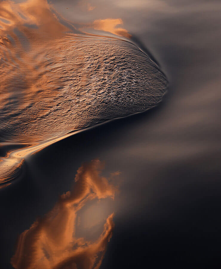 Nature5-Marta-Zuborski