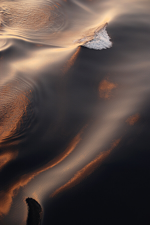 Nature6-Marta-Zuborski