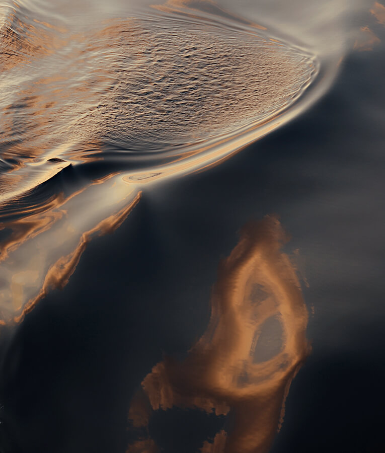 Nature9-Marta-Zuborski