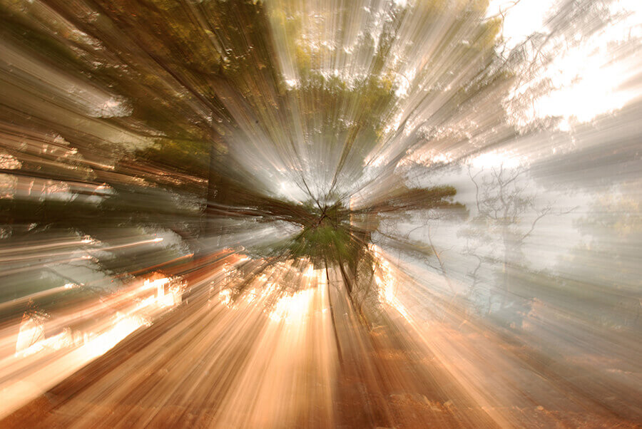 OtherO2-Marta-Zuborski