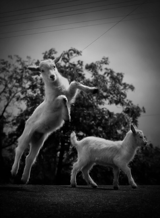 OtherO5-Marta-Zuborski