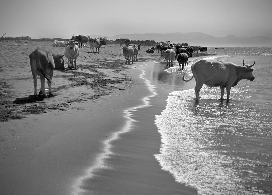 OtherO8-Marta-Zuborski